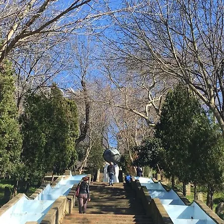 Wooden At The Heart Of Besiktas